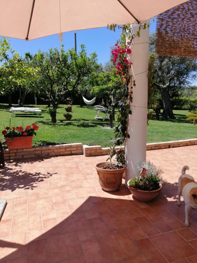 Apartmán La Collina Del Riccio Ortona Exteriér fotografie