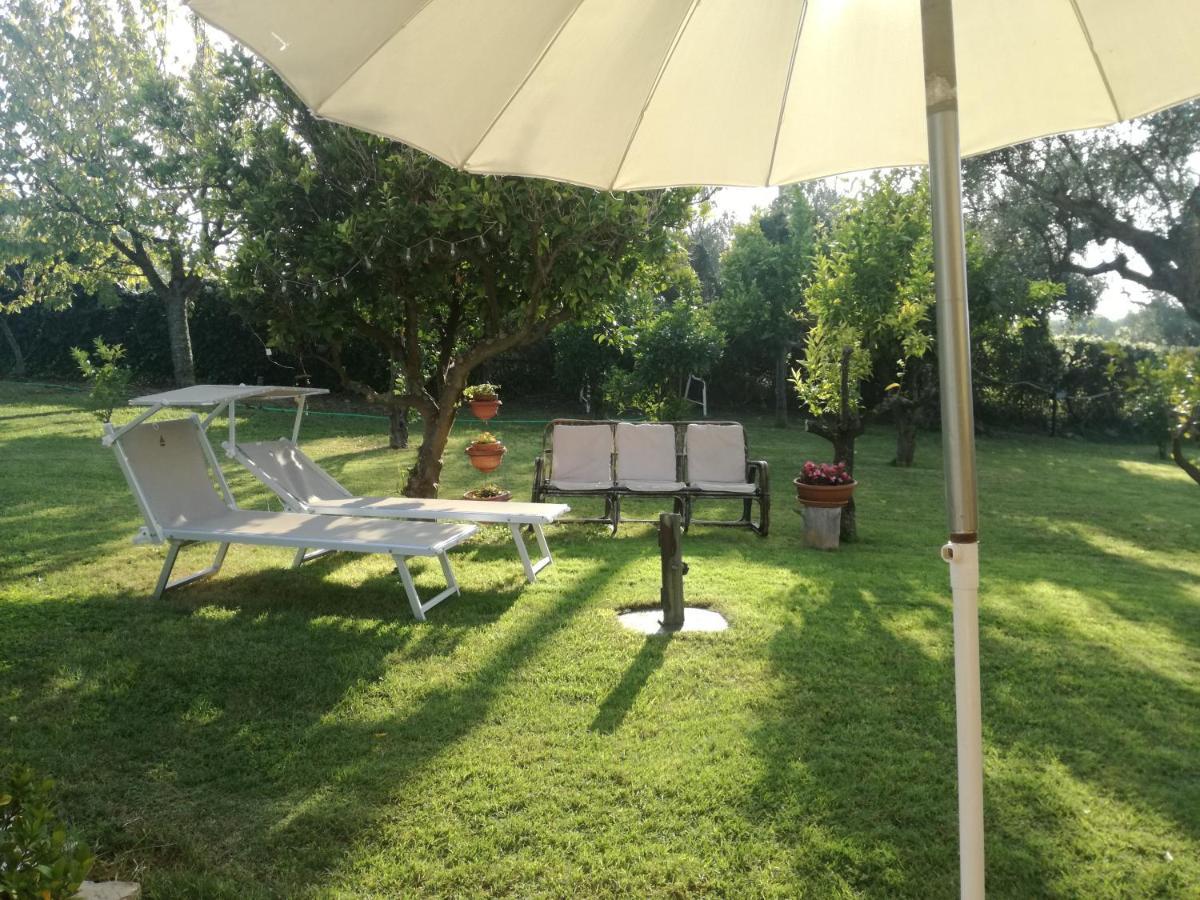 Apartmán La Collina Del Riccio Ortona Exteriér fotografie