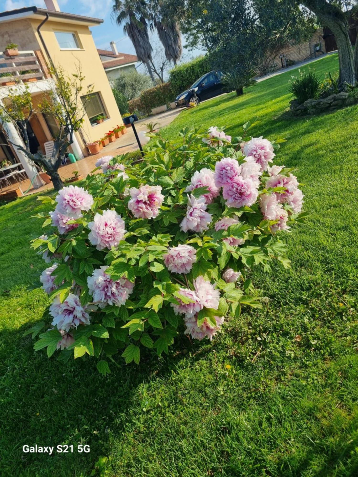 Apartmán La Collina Del Riccio Ortona Exteriér fotografie