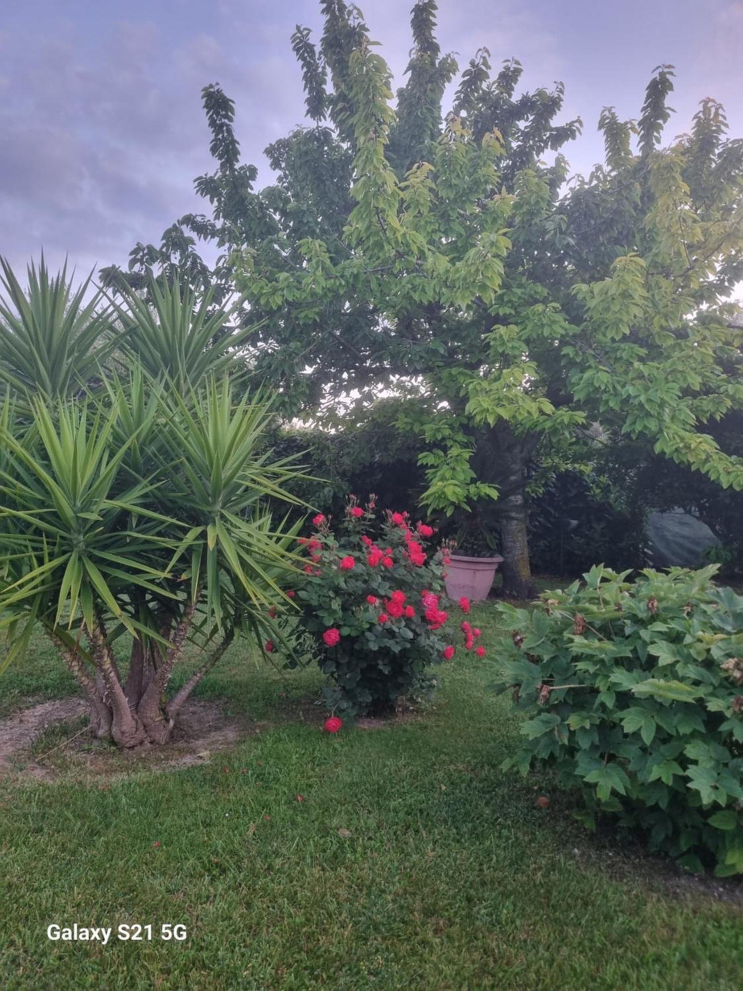 Apartmán La Collina Del Riccio Ortona Exteriér fotografie