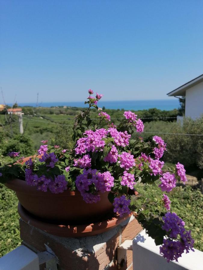 Apartmán La Collina Del Riccio Ortona Exteriér fotografie